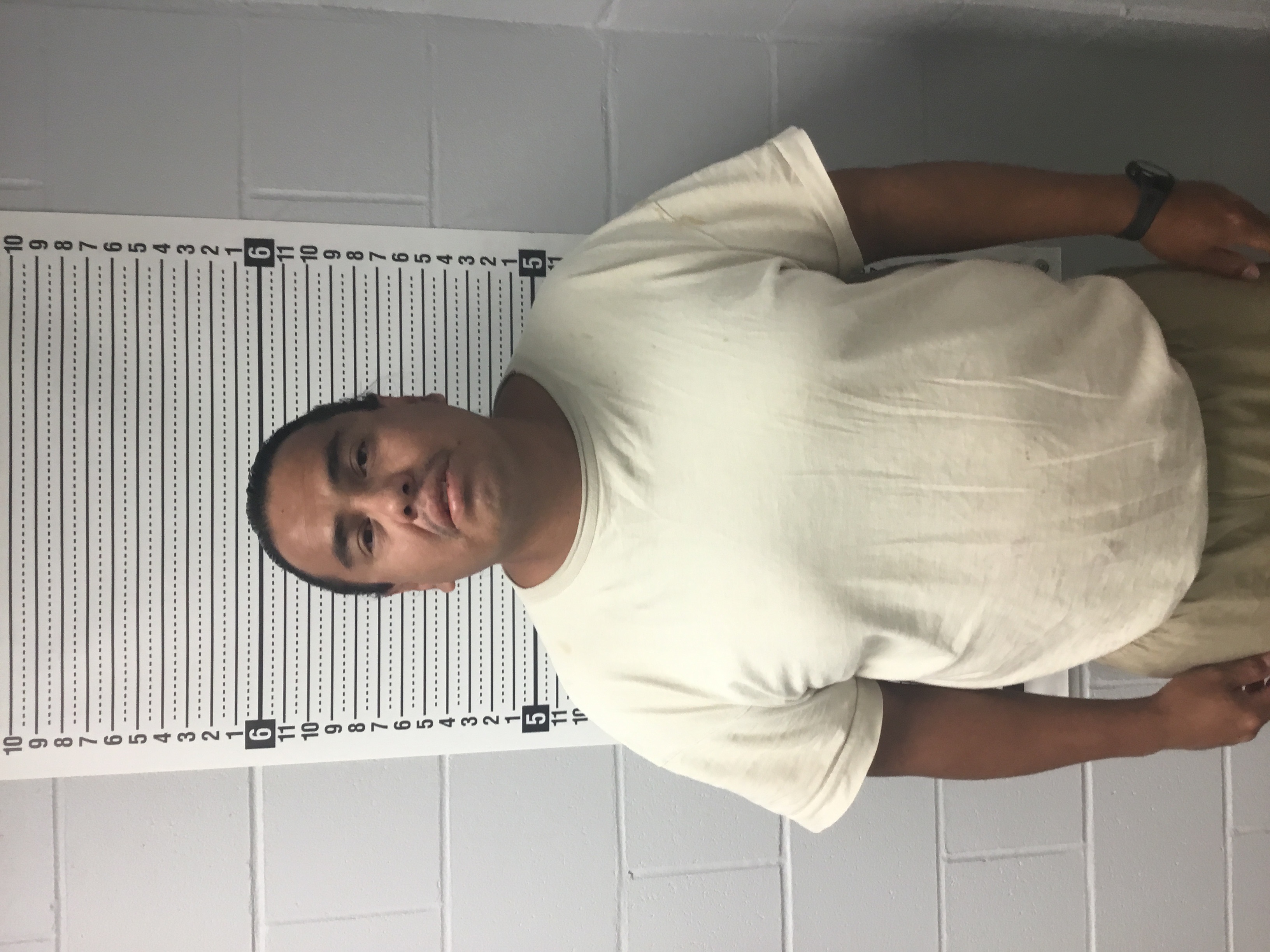 Most recent image of HORSE, ROBERT ANGELO