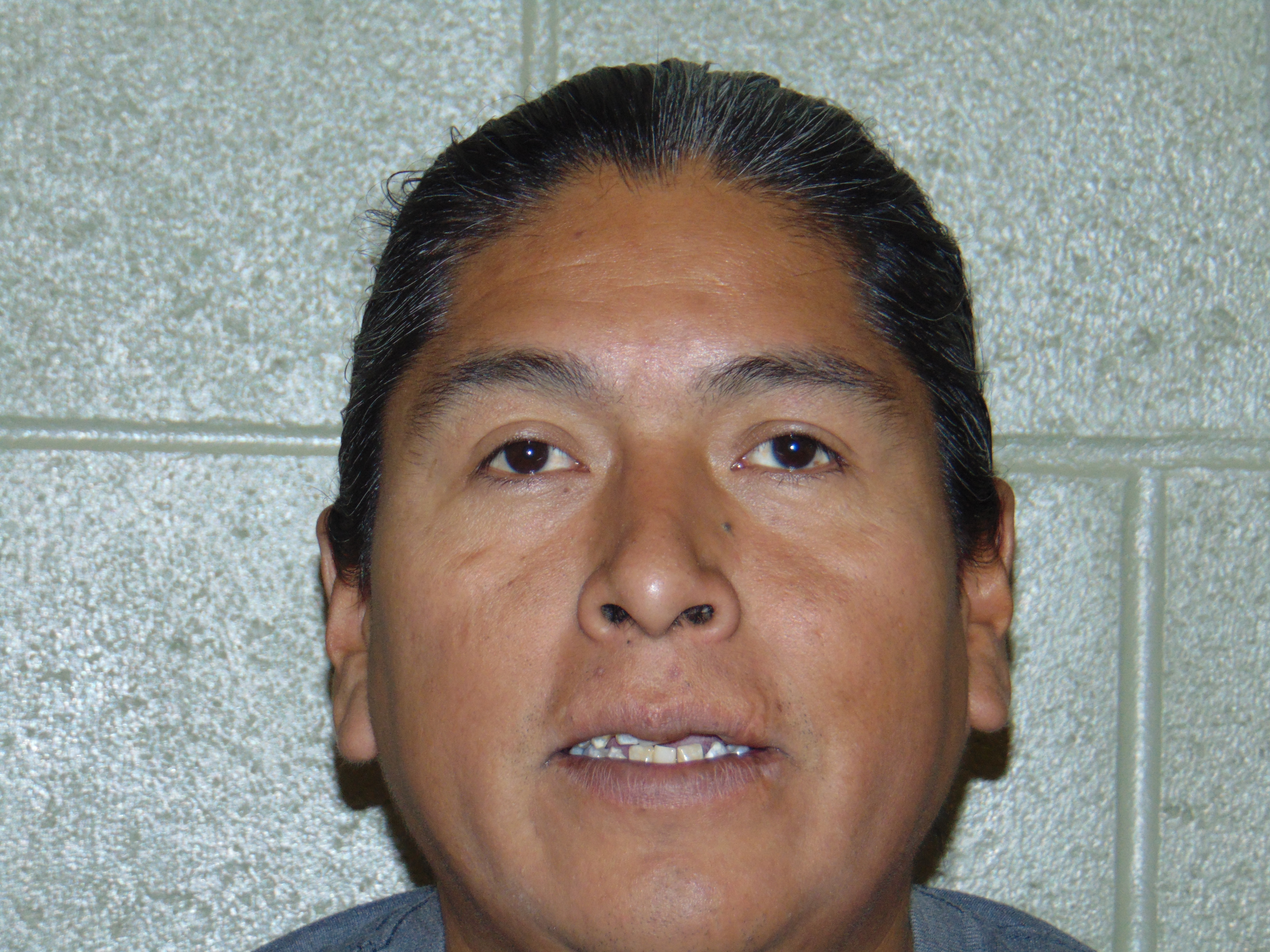 Most recent image of WHITEBUTTERFLY, FERNANDO FABIAN