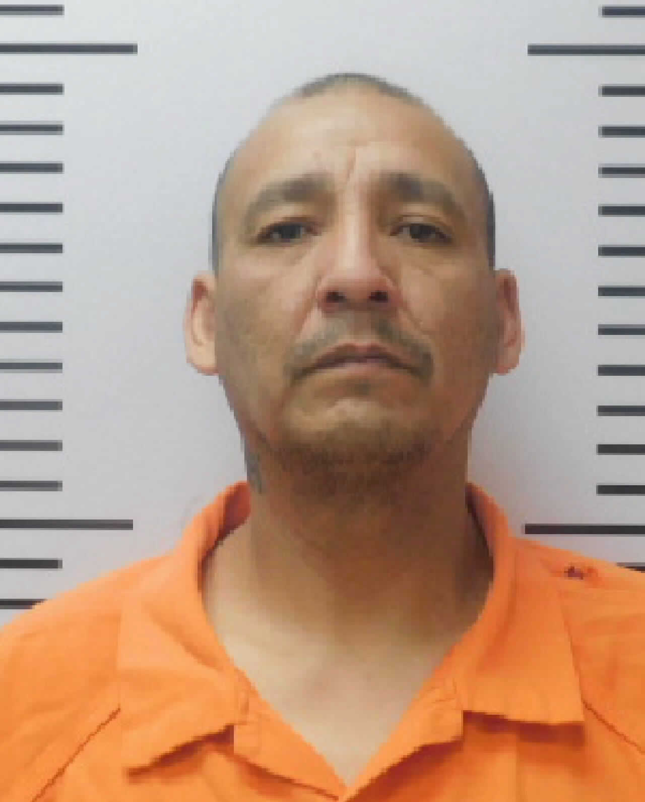 Most recent image of MEETER, DARWIN LOUIS