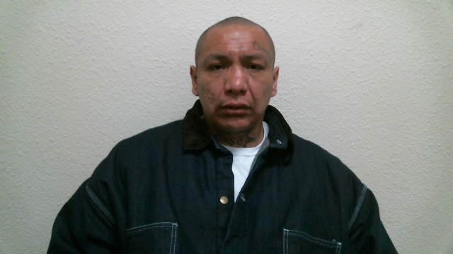 Most recent image of BULLBEAR, MICHAEL DONOVAN