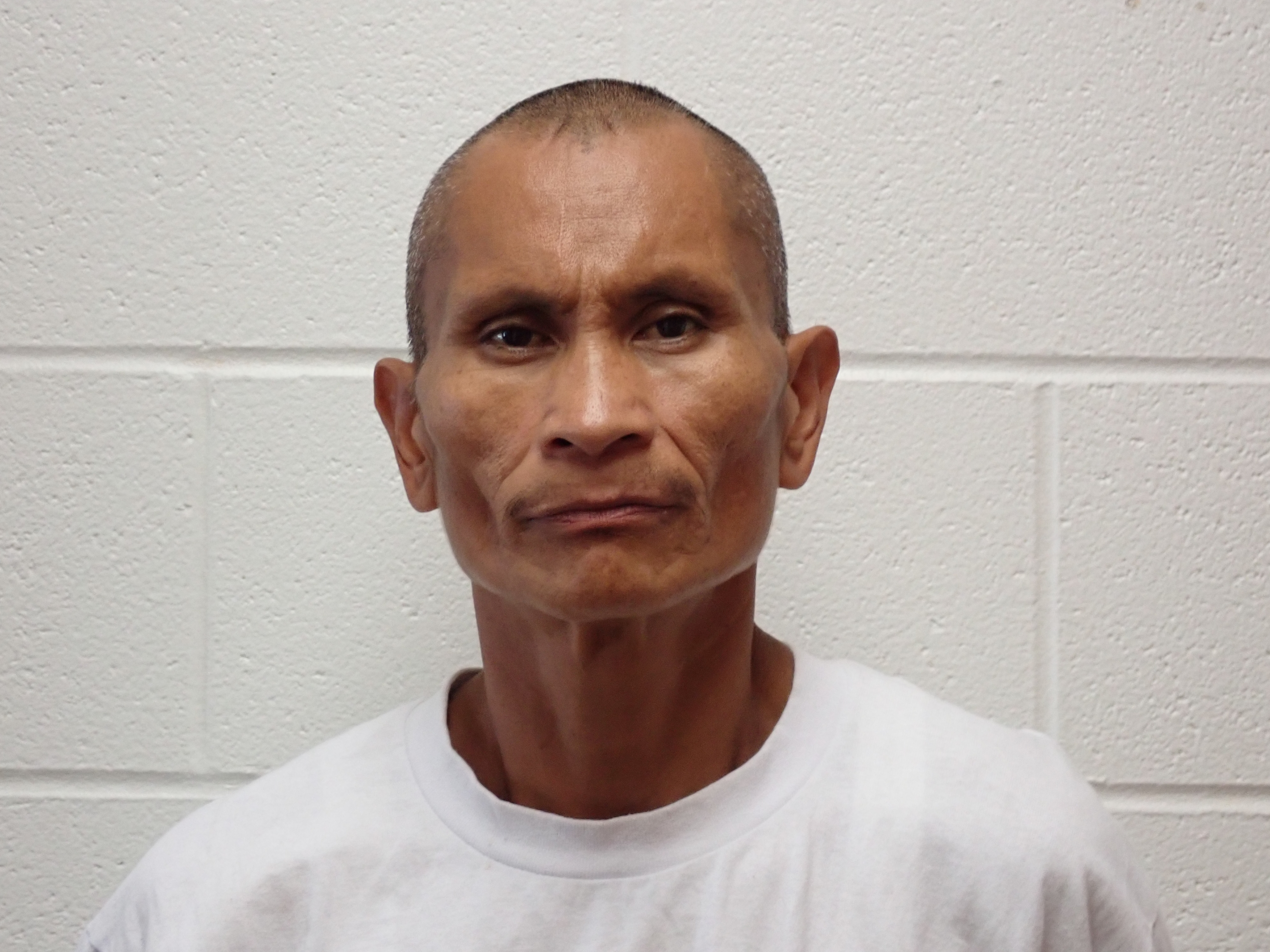 Most recent image of FIRSTINTROUBLE, NATHANIEL ROSS