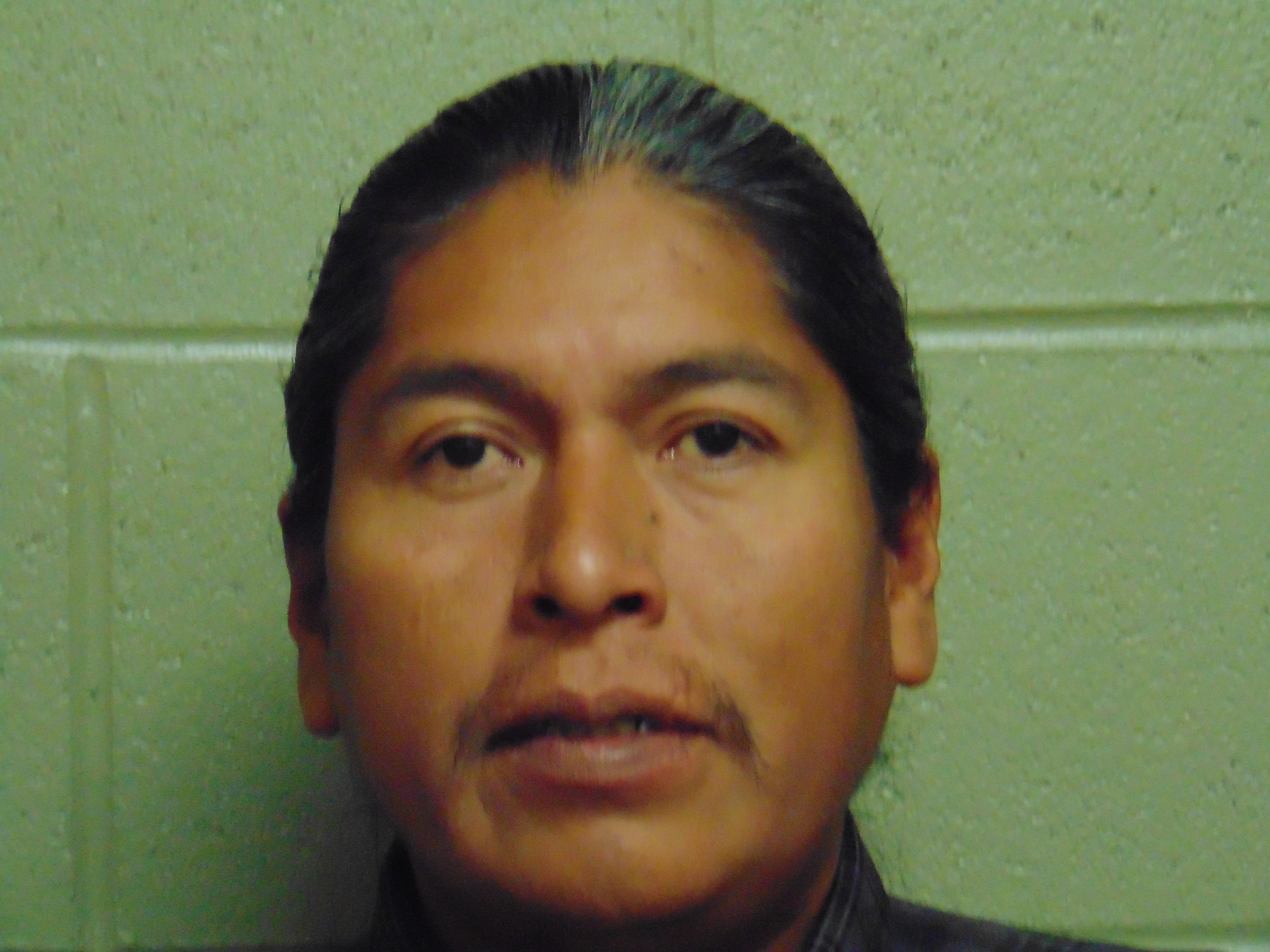 Most recent image of WHITEBUTTERFLY, FERNANDO FABIAN