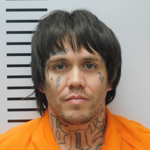 Most recent image of YELLOWBOY, CORY CARLISE