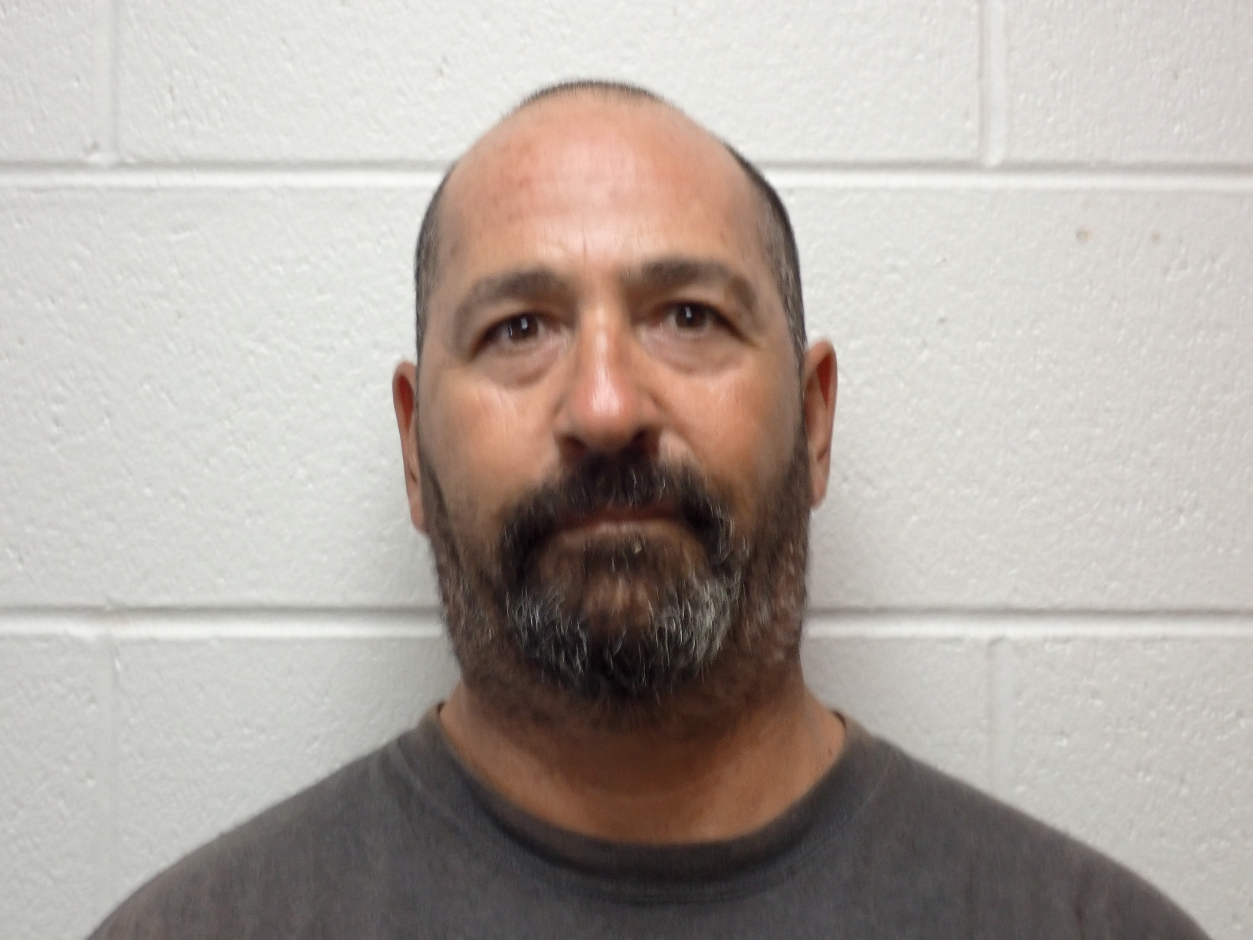 Most recent image of PAULHAMUS, PAUL VERNON