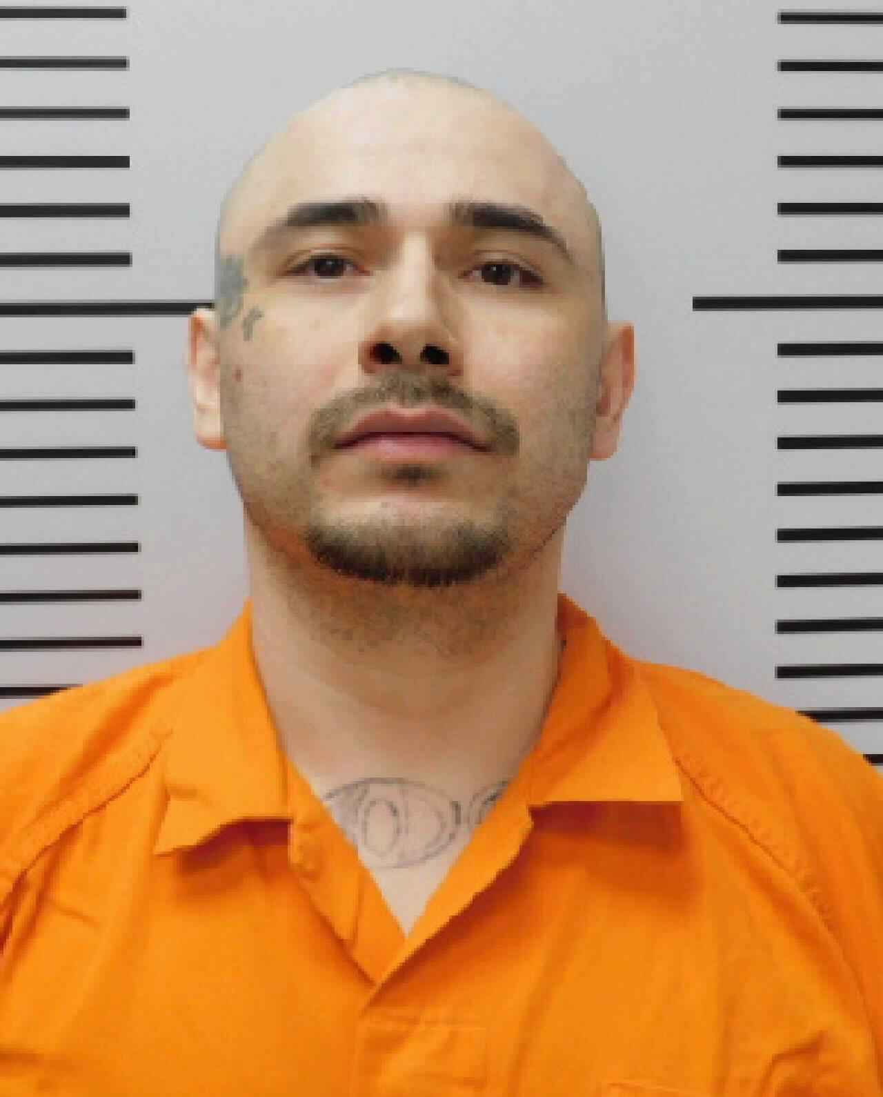 Most recent image of POORBEAR, DAVID WADE