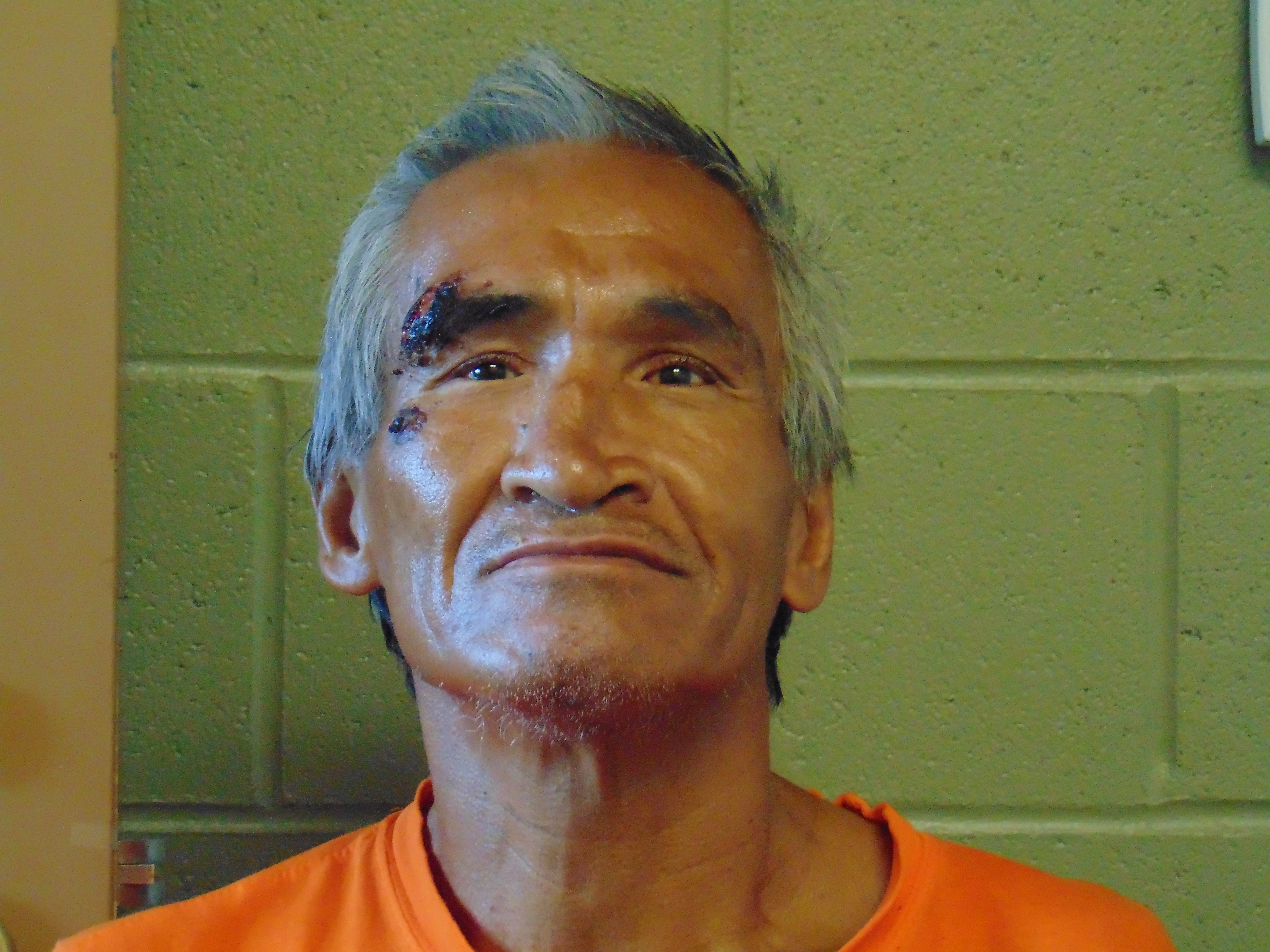 Most recent image of BLUEBIRD, WARREN HENRY