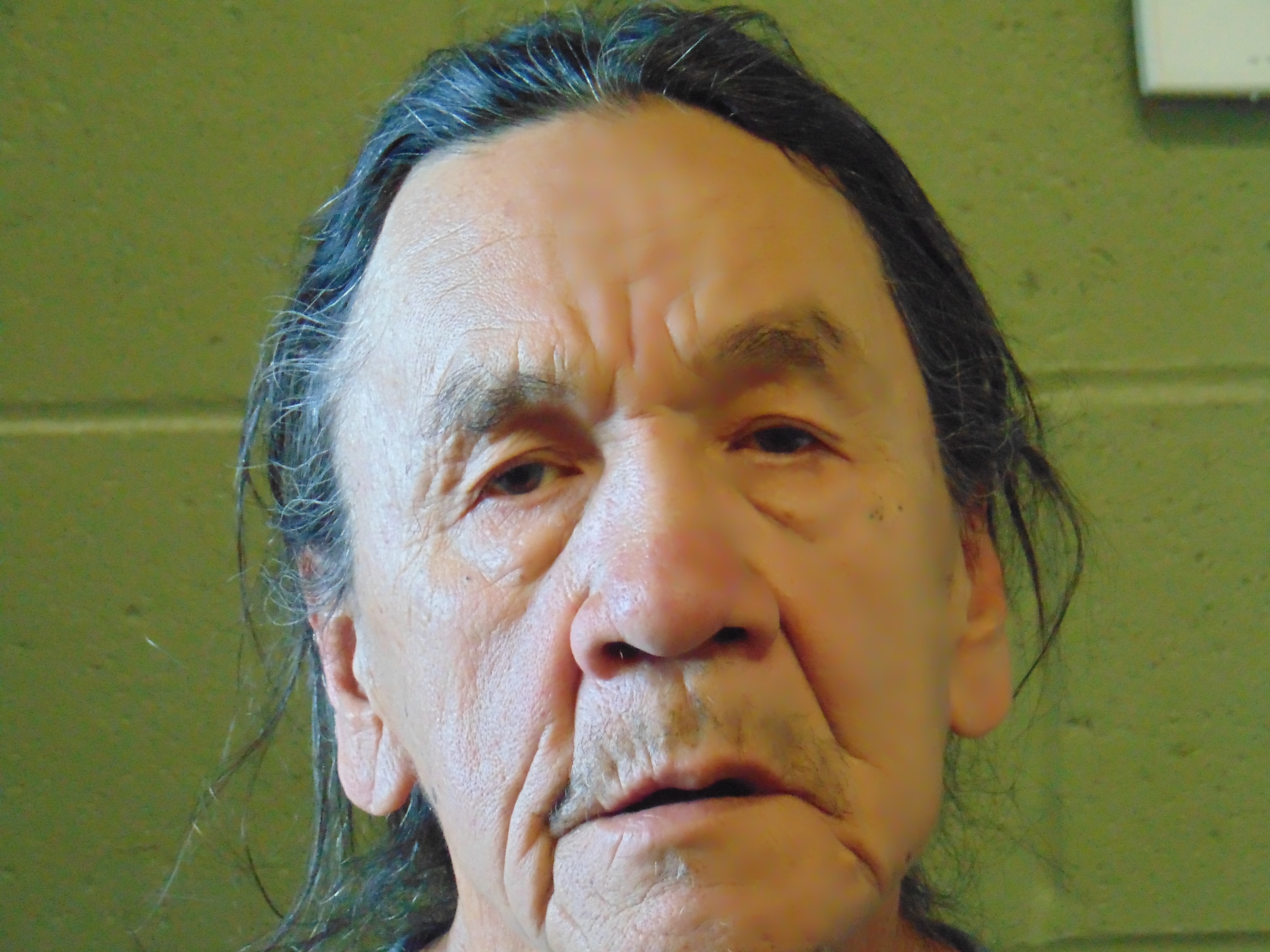 Most recent image of FIRETHUNDER, GREGG WILLIAM