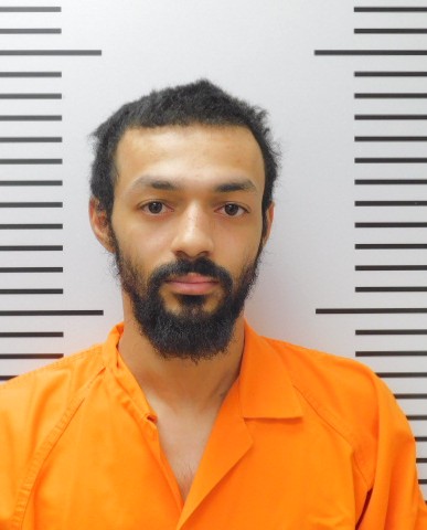 Most recent image of HANSON, MARCUS LEVI