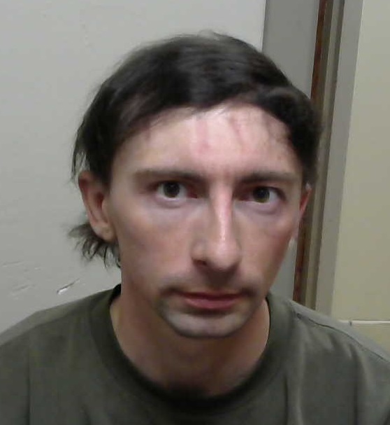 Most recent image of WOLL, SCOTT MICHAEL