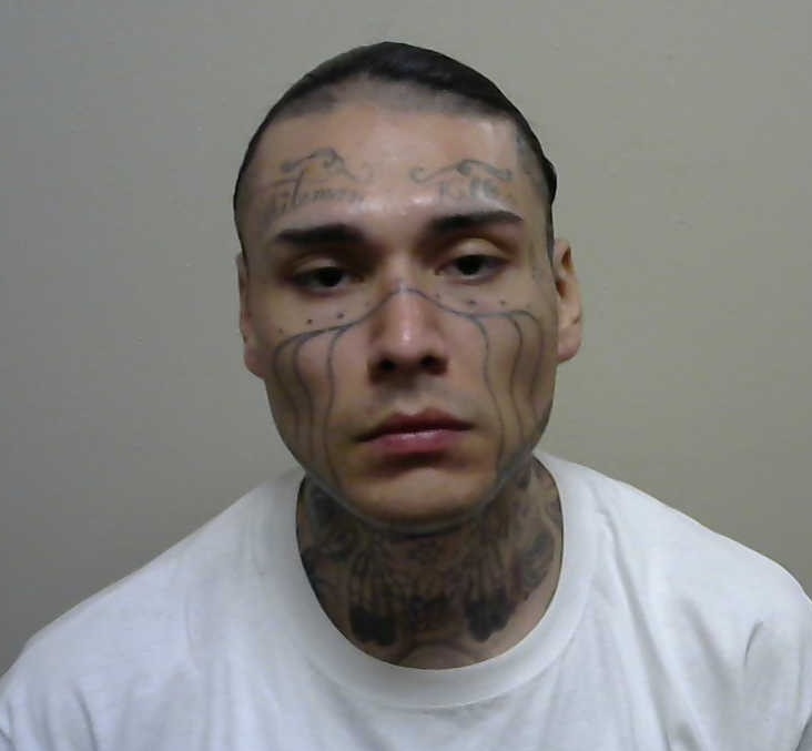 Most recent image of WHITEMAN, CHRISTIAN LEE