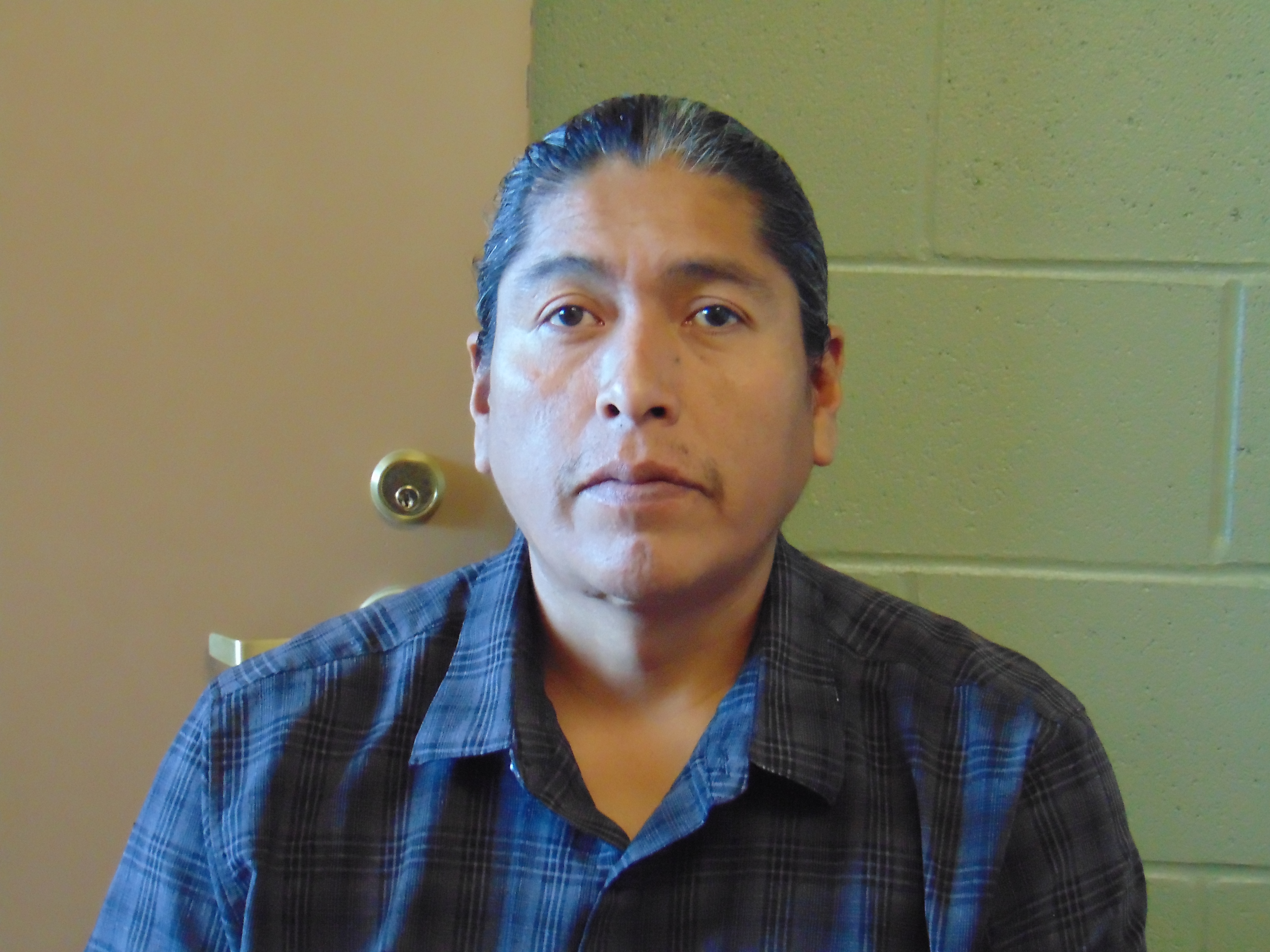 Most recent image of WHITEBUTTERFLY, FERNANDO FABIAN